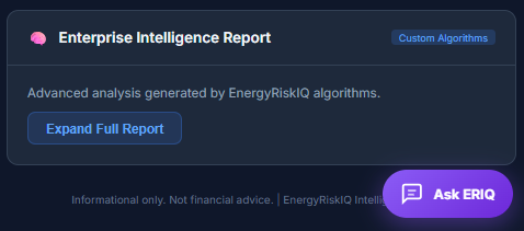 Enterprise Intelligence Report preview